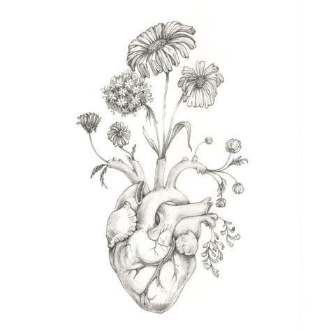 Draw Hearts, Tattoos For Women On Thigh, Blooming Heart, Art Anatomy, Graphite Art, Heart Drawing, Human Heart, Floral Heart, Anatomy Art