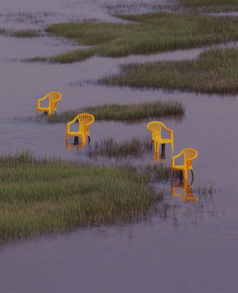 Pieza Madre: A Poignant Tribute by Andoni Beristain | Daily design inspiration for creatives | Inspiration Grid Album Covers, Photographer, Yellow, Twitter, Green, Photography, Instagram