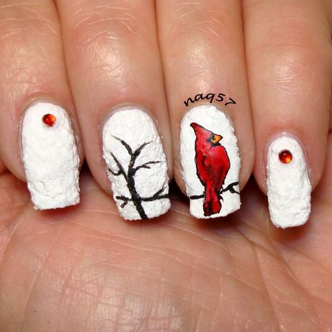 male cardinal out in the snow nail art design Cardinal Nails, Snow Nail Art, Bird Nail Art, Fingernail Art, Animal Nail Art, Nail Board, Nail Art Pictures, Super Cute Nails, Cute Spring Nails