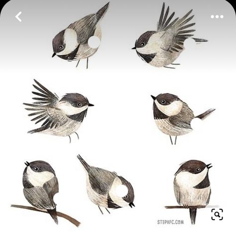 Chickadee Drawing Simple, Chickadee Illustration, Chickadee Drawing, Chickadee Tattoo, Sparrow Drawing, Sparrow Tattoo Design, Fly Drawing, Vintage Bird Illustration, Arrow Art