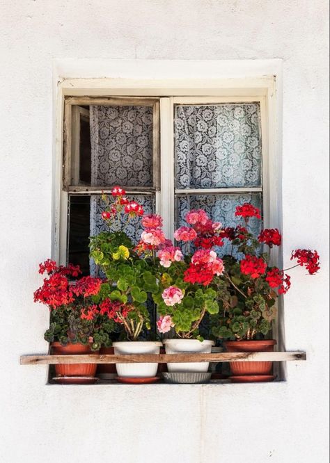 Sketchbook Architecture, Window Box Plants, Balkon Decor, Flower Window, Patio Decorating Ideas, Container Garden, Window Boxes, Patio Decorating, Plant Mom