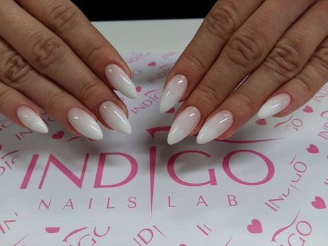 Gel Nails Shape, Baby Boomers Nails, Manicure Tutorials, Milky Pink, French Ombre, Milky Nails, Indigo Nails, Light Nails, Clear Gel