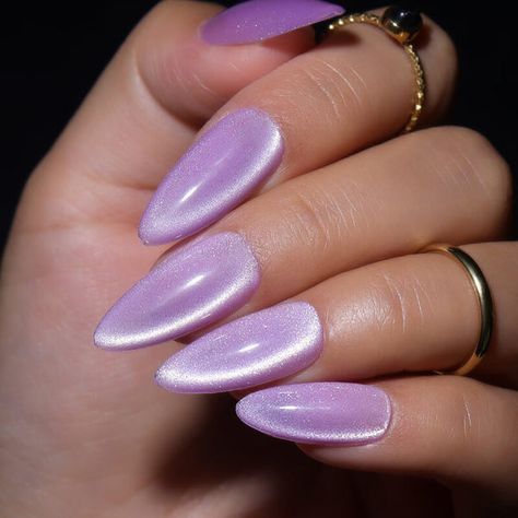 Cat Eye Lilac Nails, Purple Press On Nails, Jelly Cat, Nails Kit, Pastel Nails Designs, Eye Pigments, Cat Eye Gel Polish, Medium Almond, Nice Nails