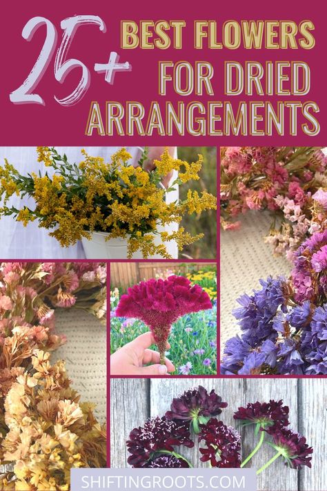 If you love colourful dried floral arrangements and wreaths, grow these 28 flowers and grasses for unique dried bouquets and dynamic ornamental pieces! Dried Hydrangeas Centerpiece, Dried Flower Crafts, Dry Flower Arrangements, Diy Dried Flower Arrangement, Dried Floral Arrangements, Dried Arrangements, Flowers To Grow, Dried Flowers Diy, Dried Hydrangeas