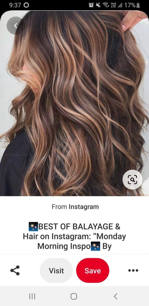 Transform your brunette mane into a cozy masterpiece! Our fall balayage creations bring the beauty of autumn leaves to your hair, with shades that mimic the richness of the season. Get ready to turn heads with your autumn-inspired locks! #BrunetteBeauty #FallHairTrends 🌰🍁 Tiger Eye Hair Color Brunette, Frosted Brunette Hair, Tiger Eye Balayage, Tiger Eye Hair Color, Tiger Eye Hair, Balyage Long Hair, Fall Balayage, Mama Hair, Baylage Hair