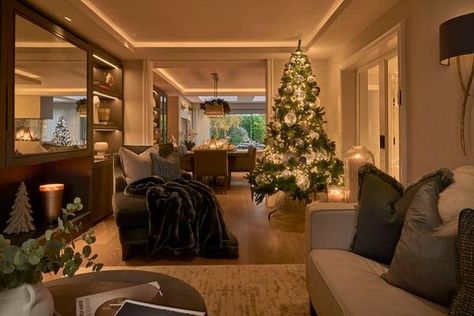 Arlene's living room is Christmas-ready. 	Picture: Piotr Zawistowski 50HZ Photography Penthouse Christmas, Ventura Design, New York Penthouse, Festive Tablescape, 50 Christmas, Outdoor Fashion, Festive Season, Penthouse, Interior Designer