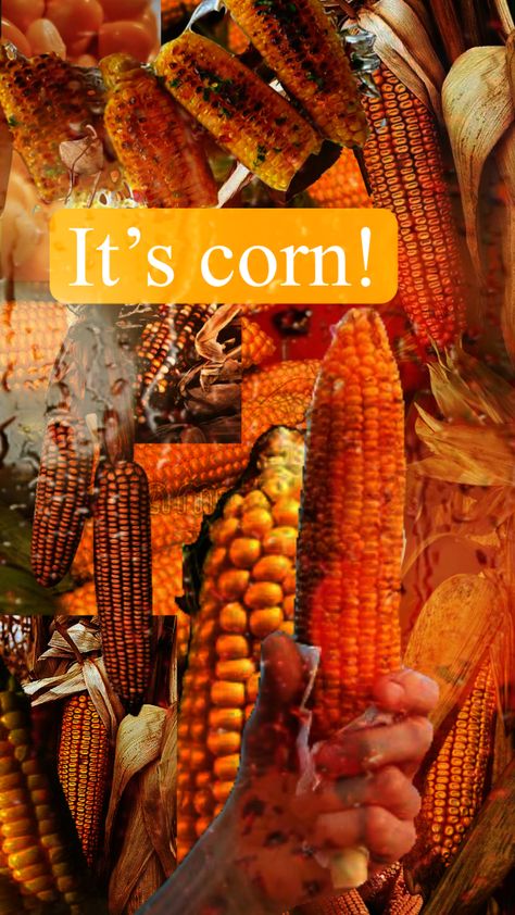 Its Corn Song, Corn Song, Song Collage, Its Corn, Yellow Aesthetic, Iphone Wallpapers, Your Aesthetic, Tik Tok, Corn