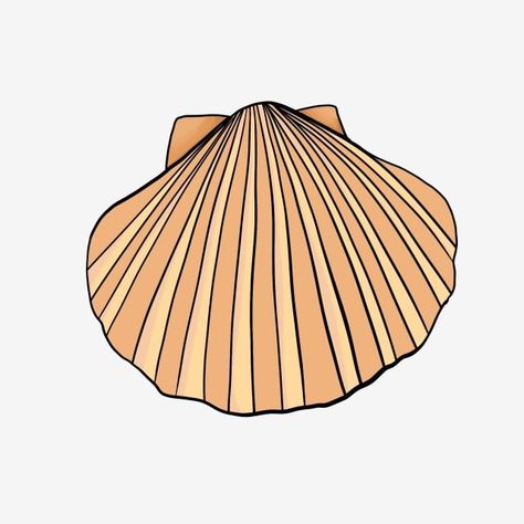 Scallop Shells, Pretty Patterns, Png Clipart, Pattern