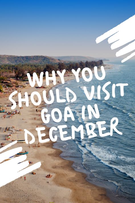 There is no better time to visit Goa than the month of December. Have a look at our blog and check what are the things you can do in Goa during the month of December. www.villacalangute.com/blog/things-to-do-in-goa-in-december/ #villacalangutegoa #villacalangute #goa #goaindecember #decembervibes #dolphinspotting #seaworld #christmaseve #clubs #bars #shacks #goaliberationdayparade #goanwedding #saturdaynightmarket #calangute #cribhopping #dudhsagarwaterfall #bestingoa #exploregoa #goadiaries Things To Do In Goa, Goa Outfits, Liberation Day, People Getting Married, Christmas Week, Hidden Places, Night Market, Sea World, Goa