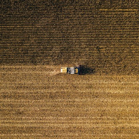 Free Biatorbágy Image on Unsplash Agriculture Pictures, Harvest Pictures, Agriculture Photography, Agriculture Photos, Agriculture Projects, Student Aesthetic, Farm Lifestyle, Focus Photography, Harvest Festival