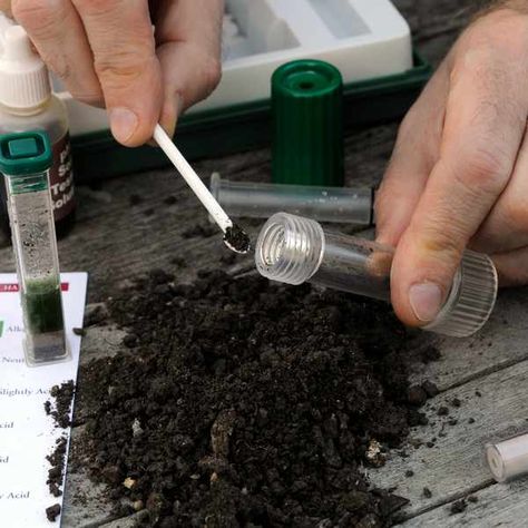 How to test your soil pH Soil Ph Test, Garden Prepping, Plant Tissue, Soil Testing, Soil Ph, Better Homes And Garden, Traditional Garden, Garden Soil, Organic Matter