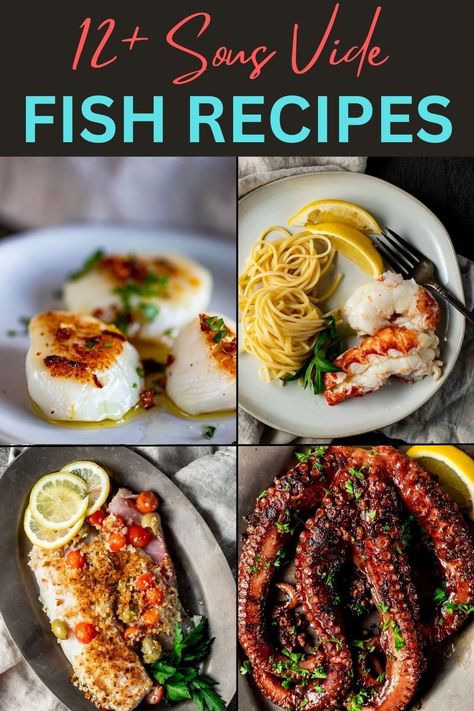 Sous Vide Shrimp Recipe, Sous Vide Fish, Grouper Recipes, Lobster Recipes Tail, Fish Dinner Recipes, Oyster Recipes, Sous Vide Recipes, Clam Recipes, Cod Recipes