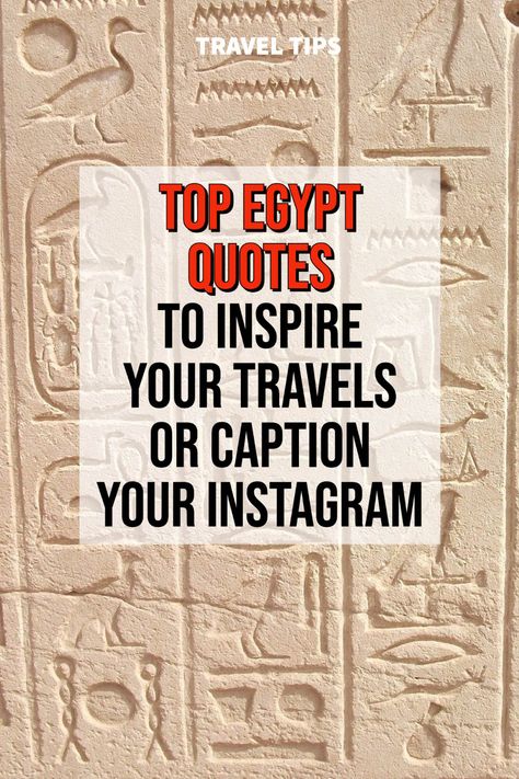 The Best Egyptian Quotes and Instagram Captions about Egypt can be found here! Egyptian Culture | Egypt Inspiration | Egyptian Writing | Quotes about Egypt | Desert Quotes | Camel Quotes | Travel Egypt | Africa Travel | Pharaoh Quotes | Quotes about History | Egypt Travel | Egypt Quotes #quotes #egypt Ancient Egypt Quotes, Egypt Captions Instagram, Trendy Instagram Captions, Egypt Quotes, Egyptian Quotes, Camel Quote, Egypt Quote, Desert Quotes, Desert Quote