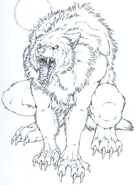 Posted Image Werewolf Coloring Pages, Werewolf Tattoo, Werewolf Drawing, Werewolf Aesthetic, Wolf Sketch, Wolf Artwork, Werewolf Art, Wolf Drawing, Desenho Tattoo