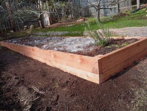 Bed Options, Sloped Yard, Building Raised Garden Beds, Vegetable Garden Raised Beds, Building A Raised Garden, Diy Raised Garden, Raised Garden Beds Diy, Sloped Garden, Permaculture Design