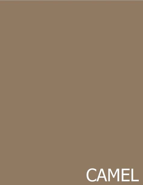 Earth Tones Paint, Soft Autumn, Pretty Colors, Caramel Color, Color Analysis, Autumn Colors, Camel Color, Pantone Color, Pretty Colours