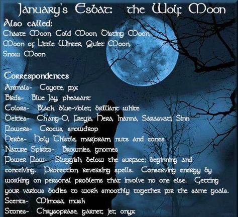 January_WolfMoon January Magick, January Full Moon, January Moon, Moon Meaning, Cold Moon, Moon Magick, Moon Spells, Full Moon Ritual, Moon Witch