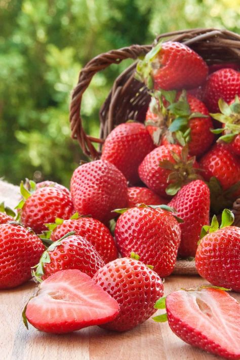 Types Of Strawberries, Strawberry Varieties, Low Calorie Fruits, Strawberry Dessert Recipes, Strawberry Cake Recipes, Strawberry Garden, Strawberry Picking, Growing Strawberries, Strawberry Plants