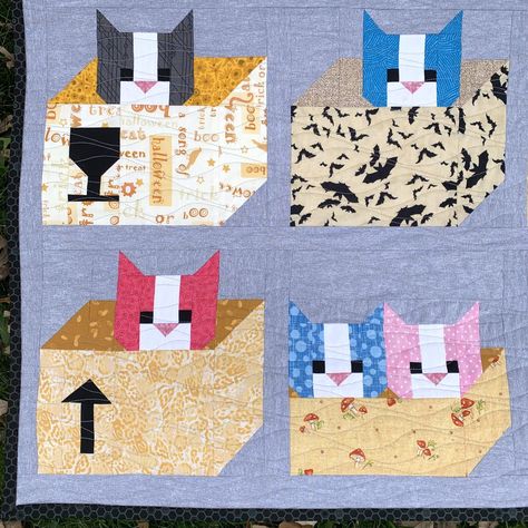 Cats in Boxes - Sew Fresh Quilts Cat Quilt Block Pattern Free, Quilt Squares Ideas, Cat Patchwork, Cats In Boxes, Cute Little Cats, Cat Quilt Block, Cat Quilts, Weaving Diy, Cat Quilt Patterns