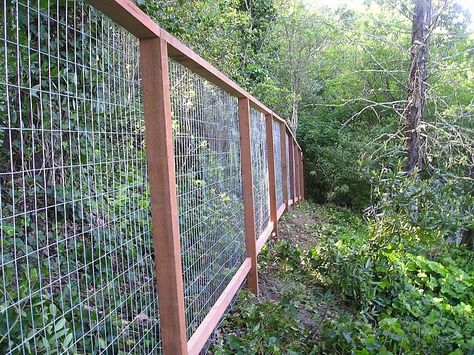 Deer Fencing Construction Portfolio | A and J Fencing Field Fencing, Stock Fencing, Hog Wire Fence, Agricultural Fencing, Animal Enclosures, Chicken Wire Fence, Chicken Fence, Field Fence, Wire Fencing