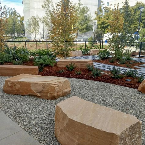 Spanish Garden Ideas, Rock Path, Dog Boarding Facility, Stone Park, Spanish Garden, Landscape Rock, Building Entrance, Landscaping With Boulders, Drought Tolerant Landscape