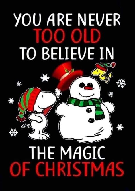 Snoopy Christmas Quotes, Holiday Snoopy, Winter Snoopy, Snoopy Holidays, Snoopy Merry Christmas, Snoopy Cute, Peanuts Gang Christmas, Christmas Mobile, Merry Christmas Animation