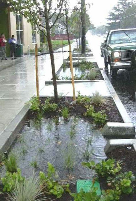 Stormwater Management, Urban Landscape Design, Green Street, Landscape And Urbanism, Landscape Architecture Design, Green Architecture, Water Management, Rain Garden, Street Design