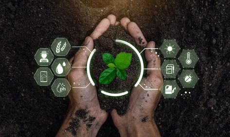 AI And Agriculture: Better Farming, Better Food Technology In Agriculture, Types Of Innovation, Precision Agriculture, Data Architecture, Sustainable Supply Chain, Agriculture Industry, Agricultural Practices, Sustainable Agriculture, Computer Vision