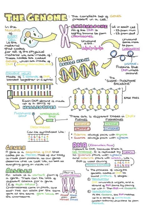 What Is Biology, Studie Hacks, Biology Revision, Studera Motivation, A Level Biology, Study Biology, Biology Classroom, Medical Student Study, Biology Lessons