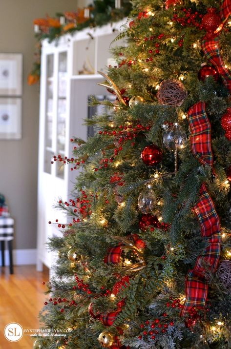 Tartan Plaid Christmas Tree, Christmas Tree Inspiration Red And Gold, Christmas Tree Inspiration Traditional, Tartan Plaid Christmas, Red And Gold Christmas Tree, Plaid Christmas Decor, Tartan Christmas, Plaid Christmas Tree, Gold Christmas Decorations