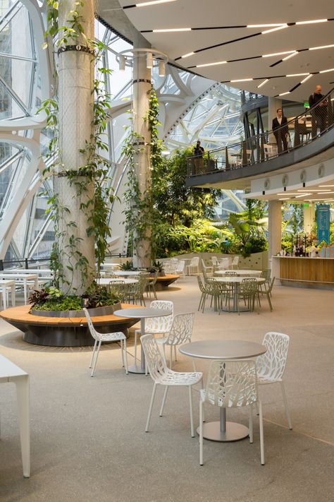 Photo Gallery: Inside Amazon's Spheres | Seattle Magazine [plants in the workplace] Garden Graffiti, Terminal Bus, Senior Manager, Site Under Construction, Column Design, Downtown Seattle, Landscape Architecture Design, Lobby Design, Green Architecture