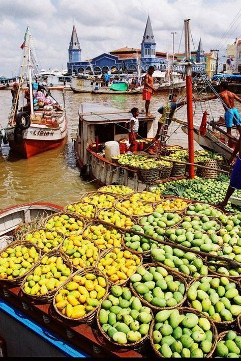 Brazil Travel, Outdoor Market, Belem, World Market, Latin American, Fresh Produce, South American, Latin America, Beautiful World