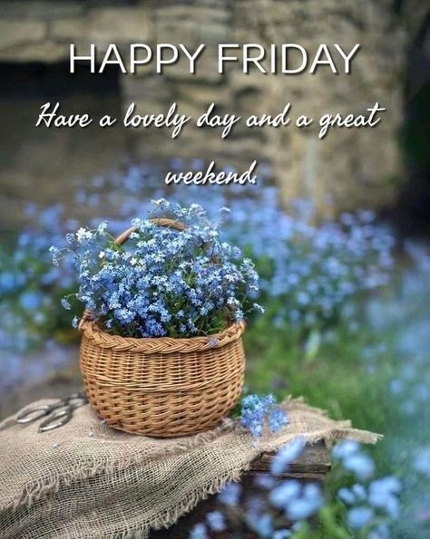 Hello Friday Mornings, Gm Friday, Friday Greetings, Monday Greetings, Friday Wishes, Good Afternoon Quotes, Fabulous Friday, Good Morning Happy Friday, Good Morning Friday