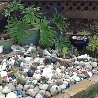 Sea shell garden. If only I lived by a beach Sea Shell Garden Ideas, Nautical Landscaping, Seashell Garden, Beach Theme Backyard, Beach Theme Garden, Beach Landscaping, Nautical Garden, Shell Garden, Coastal Ideas