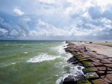 Matagorda Bay Nature Park Beach in Matagorda, TX (2020 Photos, Reviews, Info, Map) | BeachCatcher Texas Coast, Texas Forever, Downtown Houston, Trainspotting, Nature Park, Bay City, Colorado River, Galveston, Beach Town