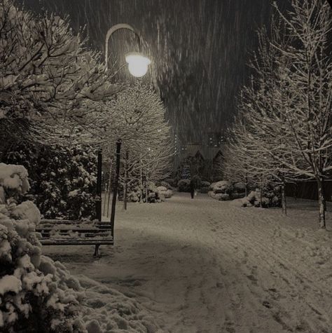 Phillip Graves, Snowy Night, Dark Christmas, Winter Inspo, I Love Winter, Winter Love, Age Gap, Winter Scenery, Winter Pictures