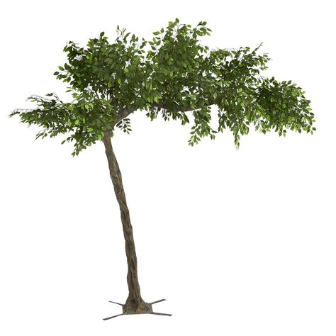 PRICES MAY VARY. Artificial Fig Tree: The garden fig tree has natural twigs, branches, and a canopy. It is ideal for decorating indoor and outdoor spaces for special occasions. The fig tree is designed to bring an upbeat charm with fluffy greenery and natural vibes. High-Quality Materials: The fake fig tree is manufactured from superior-quality plastic and synthetic materials with a life-like fig appearance. It has lustrous leaf foliage that is resistant to fade when kept in rain or sunshine. Lo Arch Tree, Fig Leaf Tree, Artificial Cherry Blossom Tree, Hydrangea Bloom, Event Decor Direct, Tree Box, Ficus Tree, Tree Base, Faux Tree