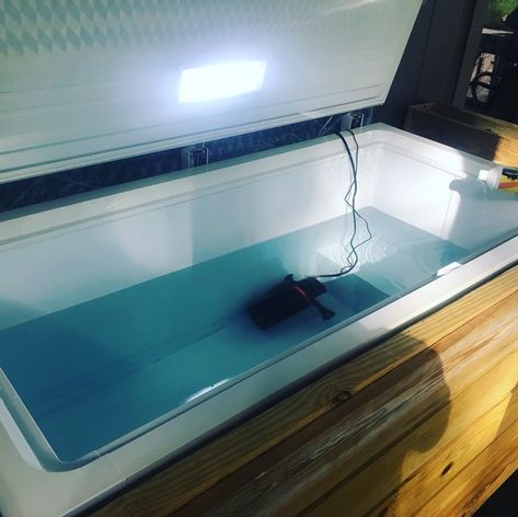 Diy Freezer Ice Bath, Cold Water Plunge Pool, Cold Plunge Chest Freezer, Diy Chest Freezer Ice Bath, Cold Plunge Pool Diy, Ice Plunge Pool, Diy Cold Plunge Bath, Homemade Cold Plunge Tub, Indoor Cold Plunge Pool