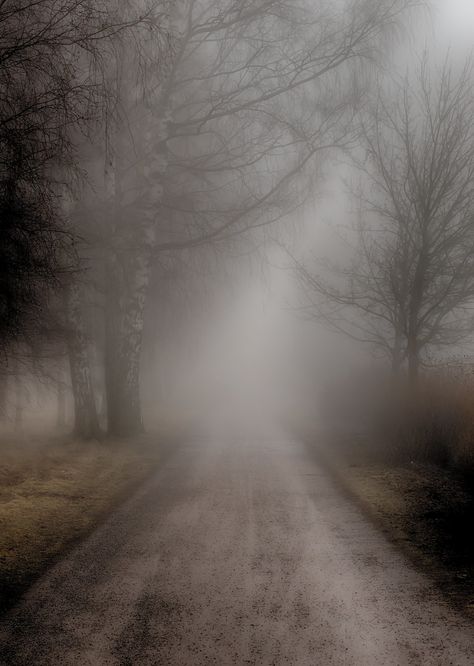 Foggy Town, Foggy Aesthetic, Fog Aesthetic, Foggy Road, Fog Photography, Dark Weather, Foggy Weather, Foggy Day, Rainy Morning