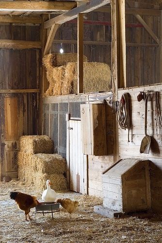 Barn inside Country Barns, Dream Barn, Hay Bales, Farm Barn, Winter Light, Ranch Life, Farms Living, Horse Barn, A Barn