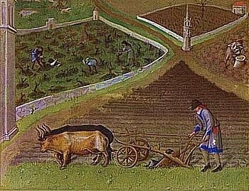 Agriculture in the Middle Ages History Of Agriculture, Types Of Farming, New Holland Agriculture, Farming Technology, Medieval Crafts, High Middle Ages, Ancient Recipes, Wine Craft, Medieval Life