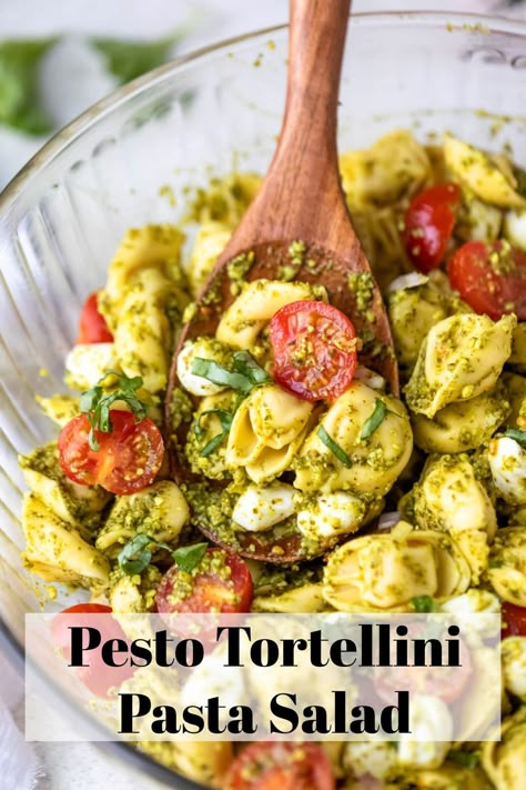 Easy 5-ingreient Pesto Tortellini Pasta Salad recipe takes just minutes to make and is packed with flavor. Great cookout side dish! Cookout Pasta Side Dishes, Cold Side Salads Parties, Tortellini Side Dish, 3 Cheese Tortellini Recipes, Pesto Side Dish, Easy Cookout Sides, 3 Cheese Tortellini, Pesto Tortellini Pasta Salad, Pasta Salad With Pesto