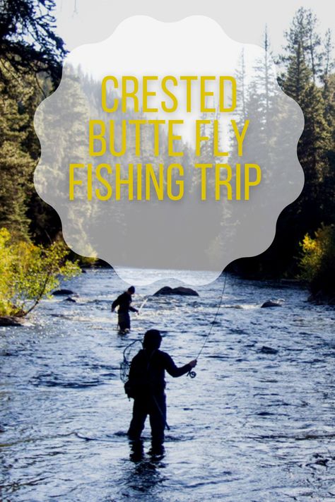 Fly fishing in Colorado’s Gunnison Valley and Crested Butte. It is not surprising that Crested Butte, Gunnison, Almont, and all of the Gunnison Valley communities offer some of the greatest fishing in Colorado given the two million acres of public property positioned surrounding the headwaters of one of the major river drainages in the state. Continue to read and you will be able to learn more about Crested Butte fly fishing. Kokanee Salmon, Cutthroat Trout, Fish Hatchery, Brook Trout, East River, Forest Road, Crested Butte, Horse Ranch, Fishing Guide