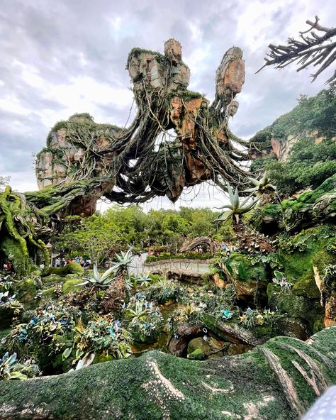 Pandora Disney Animal Kingdom, Pandora Disney World, Animal Kingdom Aesthetic, Avatar Disney World, Animal Kingdom Pandora, Disney Pfp, Career Manifestation, Avatar Disney, Disney World Aesthetic