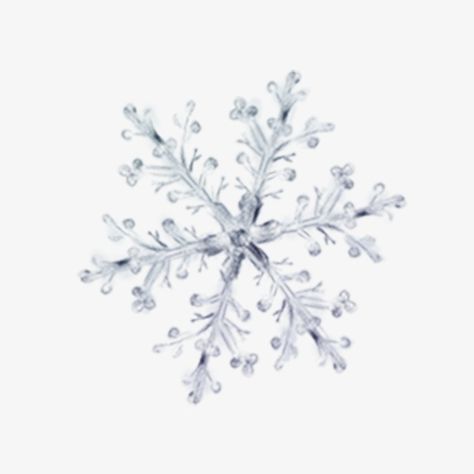 Winter Png Aesthetic, Winter Widgets, Snow Icon, Snowflake Png, Snow Png, Winter Drawings, Nature Snow, Snow Vector, Fantasy Star