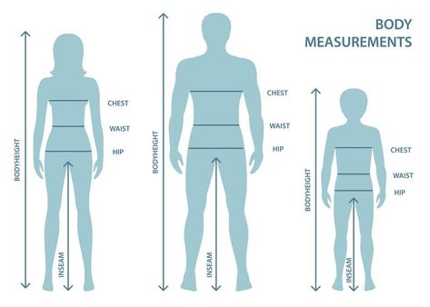 Silhouttes of man, women and boy in full length with measurement lines of body parameters . Man, women and child sizes measurements. Human body measurements and proportions. Human Body Organ System, Human Body Shape, Body Measurement Tracker, Human Body Organs, Sculptures Art, Body Measurement Chart, Human Body Systems, Beauty Portrait, Woman Silhouette