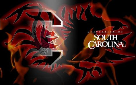 South Carolina Gamecocks Football, South Carolina Football, Gamecock Nation, Gamecocks Logo, Gamecocks Football, Go Gamecocks, Usc Gamecocks, Carolina Football, Spring Games