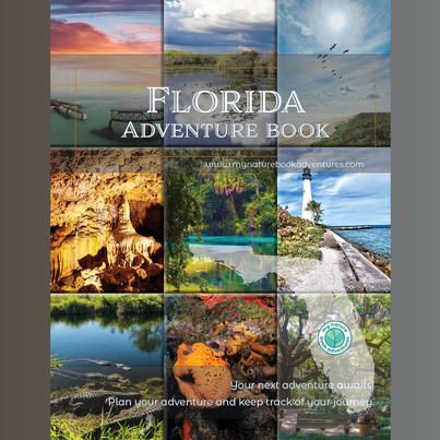 Adventure List, Get Off The Couch, Say Yes To New Adventures, Florida Adventures, Florida State Parks, Visit Florida, National Park Posters, Adventure Book, Florida Travel