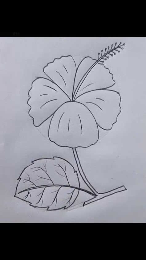 Flower Tracing Designs, Pencil Sketch Flowers Simple, Outlined Flower Painting, Flower Outline Drawing Aesthetic, Pencil Shading Flowers Easy, Flower Drawing For Aari Work, Flower Drawings With Color, Arts Picture, Quick Drawings