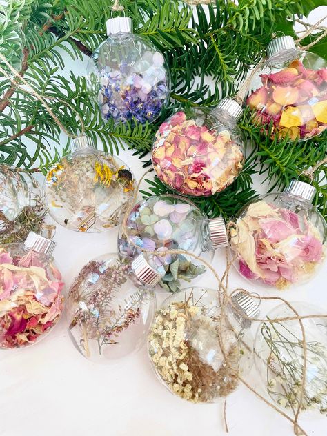 BUY 3 GET A 4th ONE FREE This clear plastic disc ornament is filled with real dried flowers and grasses grown organically in my Zone 6b Garden State garden. This floral ornament is one-of-a-kind!! I make these pretty ornaments in my Princeton, NJ dried flowers studio.  This can be a personalized gift. I offer several kinds: filled with grasses, baby's breath, hydrangea, heather, rose petals, peony petals, mixed flower petals, bougainvillea , milkweed, etc. Contact me if you want a custom order - Christmas Tree Bulbs, Sand Dollar Ornament, Princeton Nj, Clear Ornaments, Garden State, Flower Ornaments, Bougainvillea, Christmas Tree Ornament, Grasses